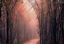 切尔西热身赛中奋勇争先，猛揽五连胜