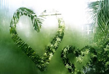 吉林队主场大胜黑龙江队，斩获胜利