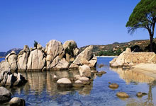 吉林队主场大胜黑龙江队，斩获胜利