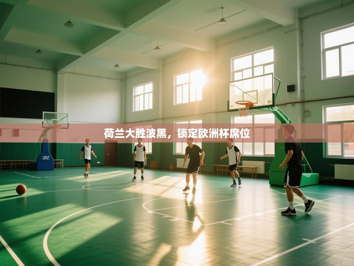 荷兰大胜波黑，锁定欧洲杯席位  第1张