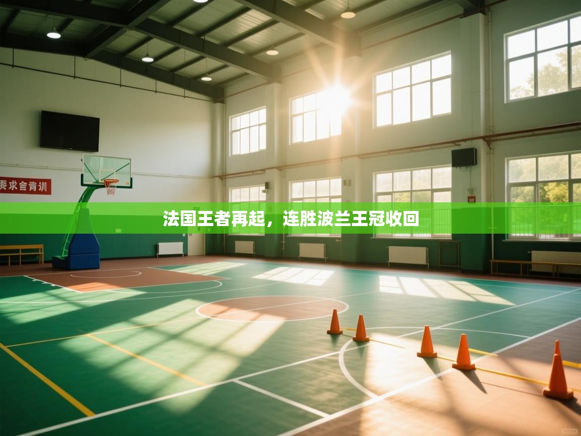 法国王者再起，连胜波兰王冠收回  第1张