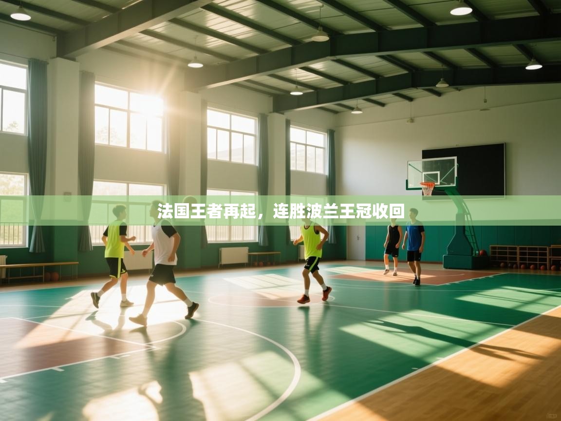 法国王者再起，连胜波兰王冠收回  第2张