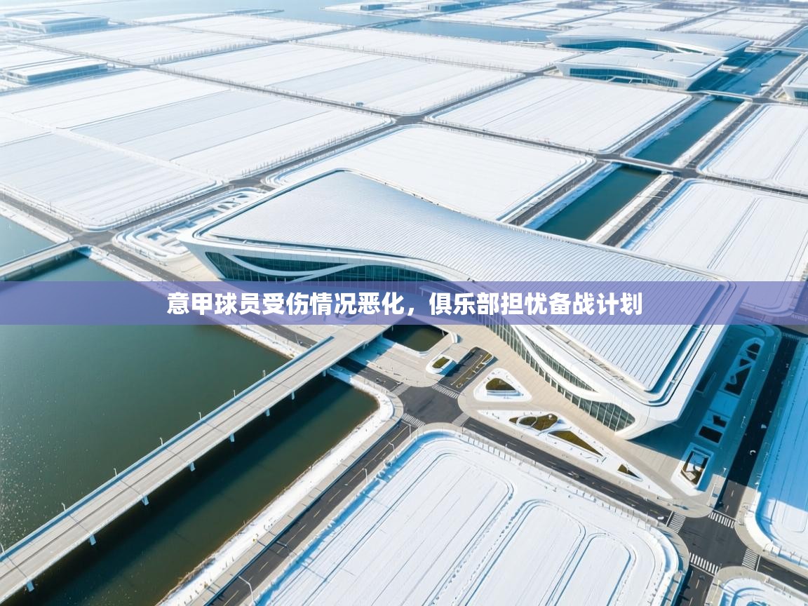 意甲球员受伤情况恶化，俱乐部担忧备战计划  第1张