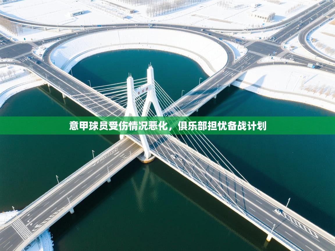 意甲球员受伤情况恶化，俱乐部担忧备战计划  第2张