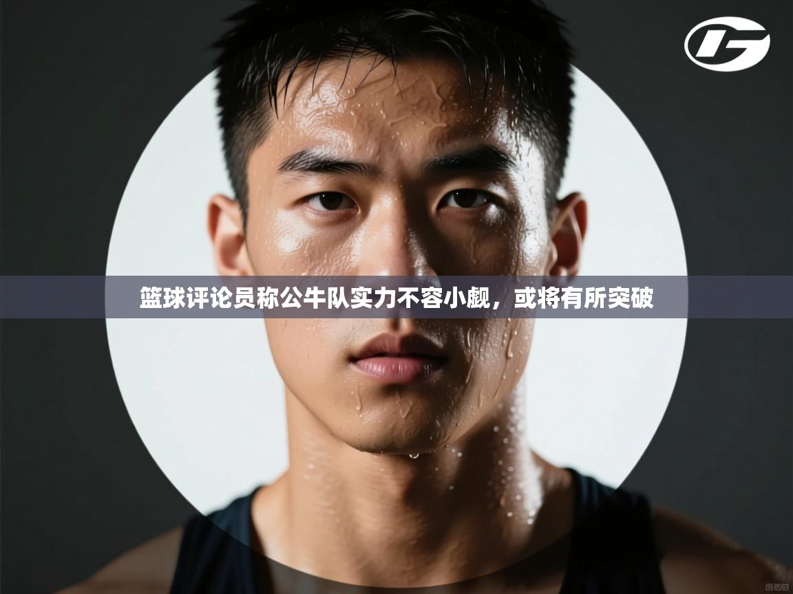 篮球评论员称公牛队实力不容小觑，或将有所突破