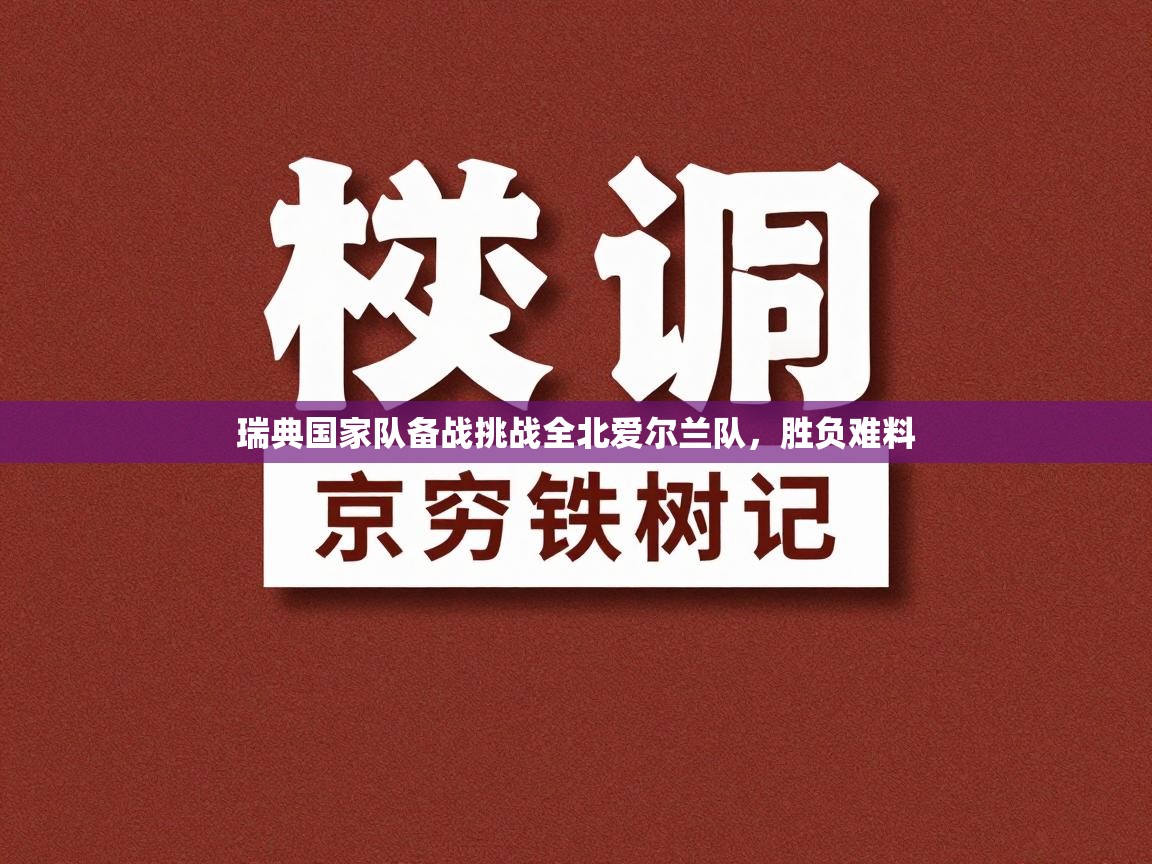 瑞典国家队备战挑战全北爱尔兰队，胜负难料